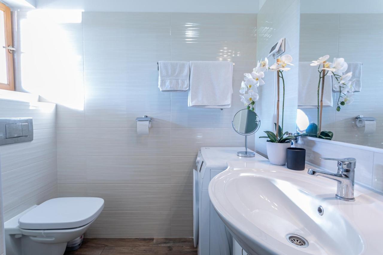 Apartman Volte Apartment Buzet Bagian luar foto
